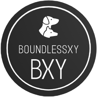 Boundlessxy